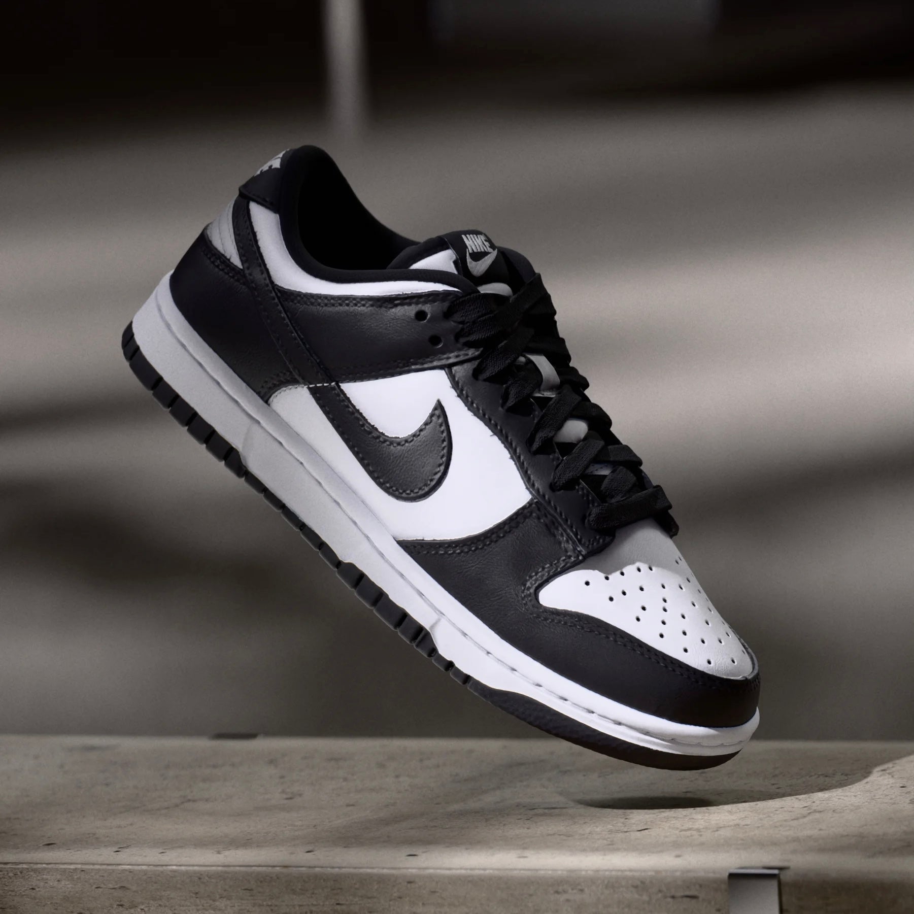 Dunk Low